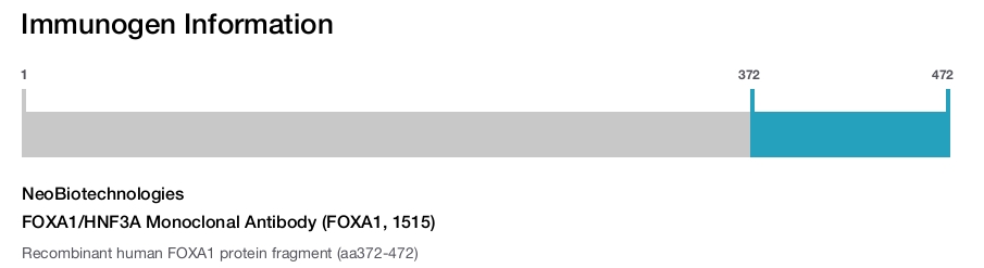 FOXA1/HNF3A Monoclonal Antibody (FOXA1, 1515)