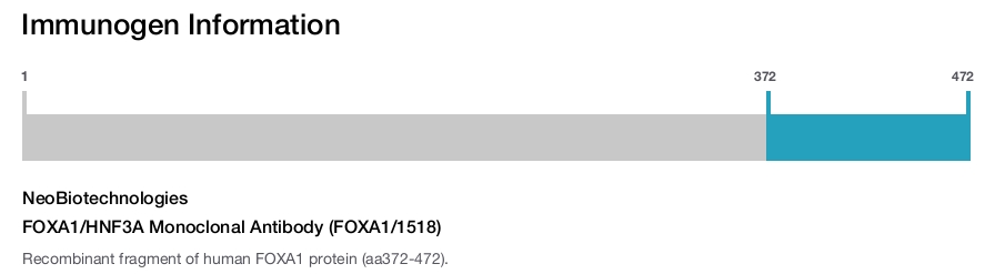 FOXA1/HNF3A Monoclonal Antibody (FOXA1/1518)
