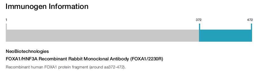FOXA1/HNF3A Recombinant Rabbit Monoclonal Antibody (FOXA1/2230R)