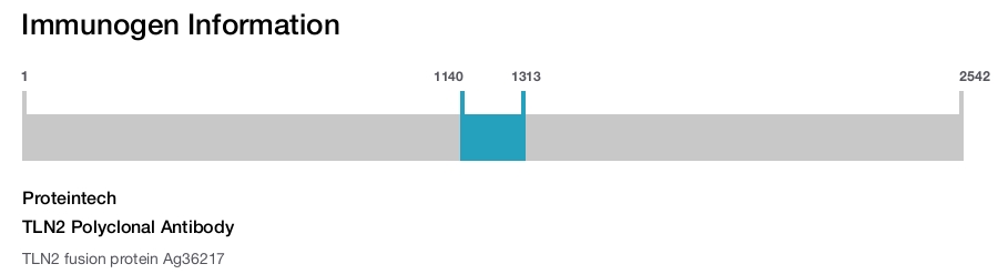 TLN2 Polyclonal Antibody