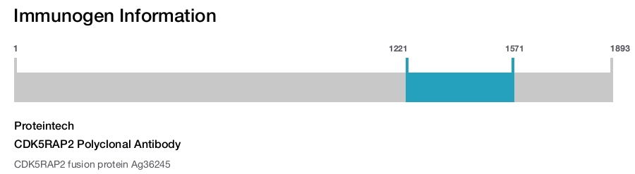 CDK5RAP2 Polyclonal Antibody