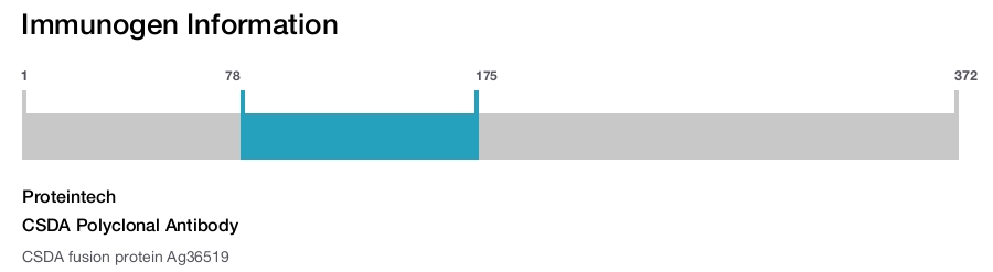 CSDA Polyclonal Antibody