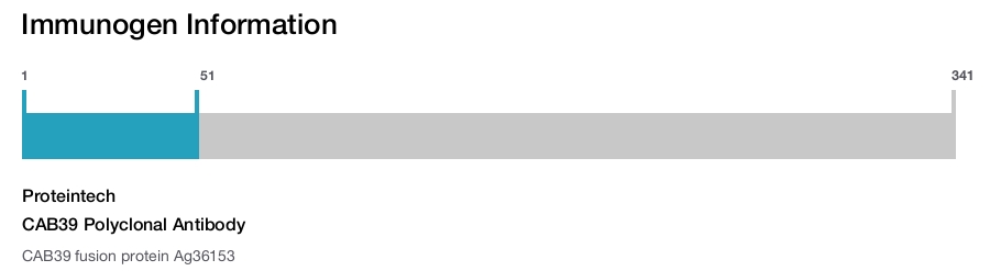 CAB39 Polyclonal Antibody