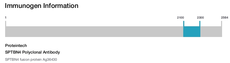 SPTBN4 Polyclonal Antibody