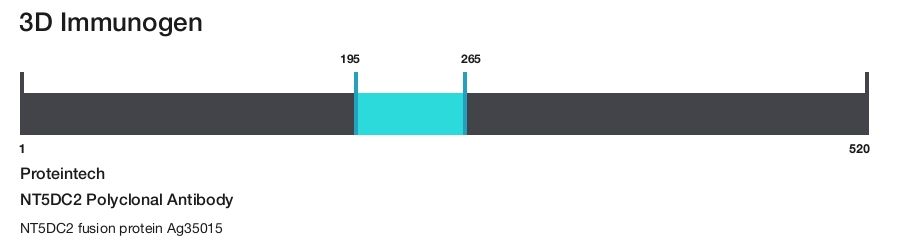 NT5DC2 Polyclonal Antibody