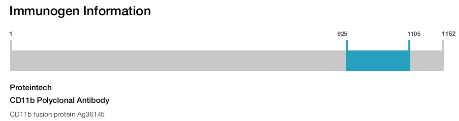 CD11b Polyclonal Antibody