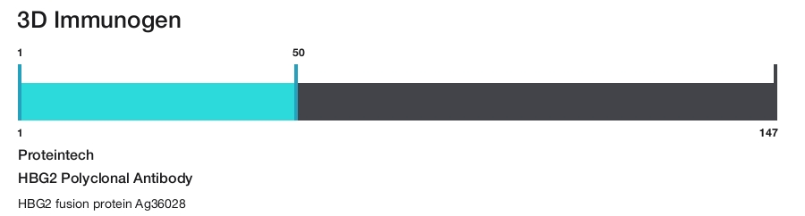 HBG2 Polyclonal Antibody