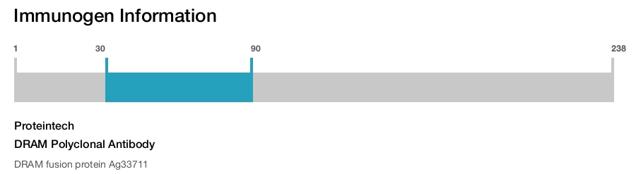 DRAM Polyclonal Antibody