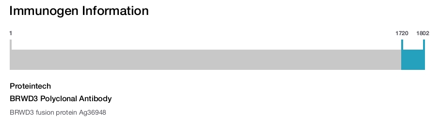 BRWD3 Polyclonal Antibody