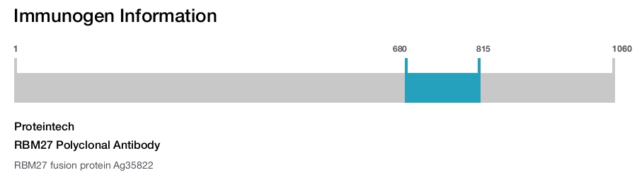 RBM27 Polyclonal Antibody
