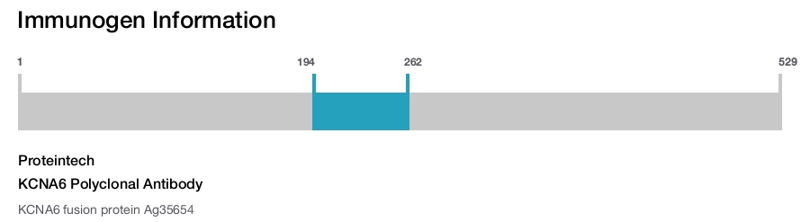 KCNA6 Polyclonal Antibody