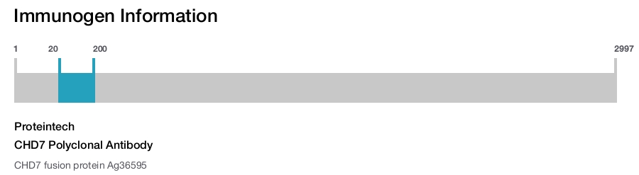 CHD7 Polyclonal Antibody