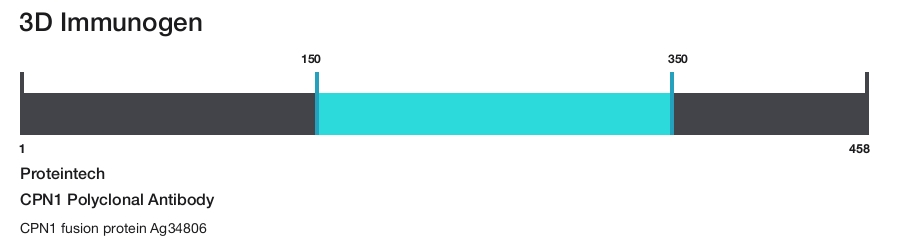 CPN1 Polyclonal Antibody