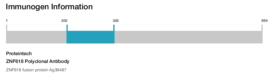 ZNF618 Polyclonal Antibody