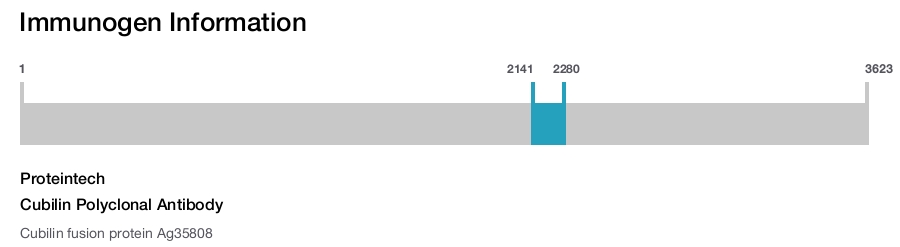 Cubilin Polyclonal Antibody