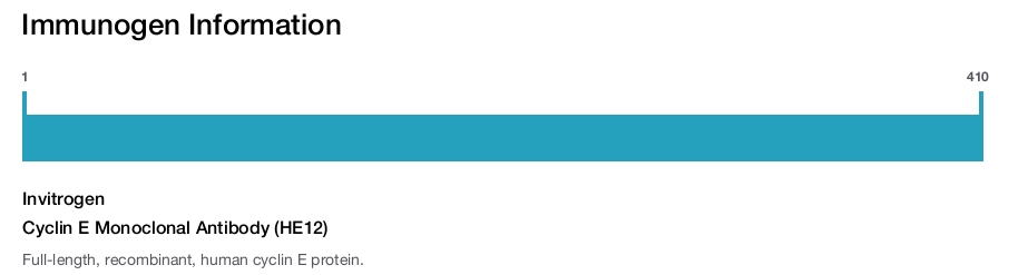 Cyclin E Monoclonal Antibody (HE12)