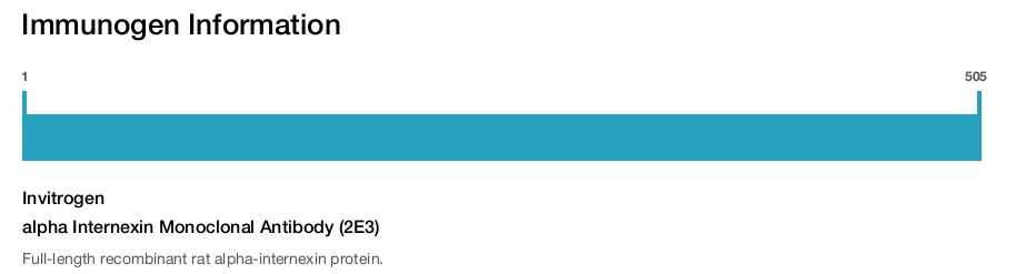 alpha Internexin Monoclonal Antibody (2E3)