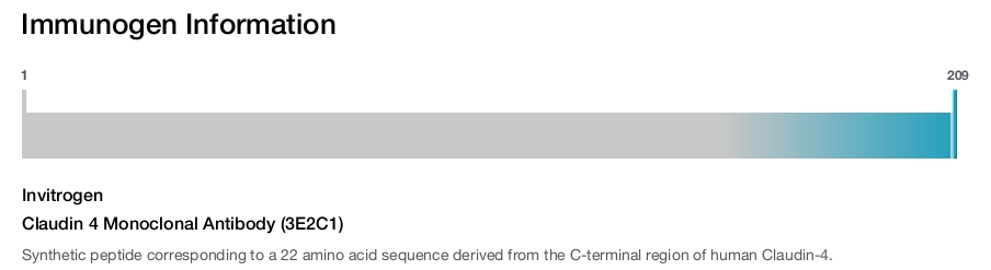 Claudin 4 Monoclonal Antibody (3E2C1)