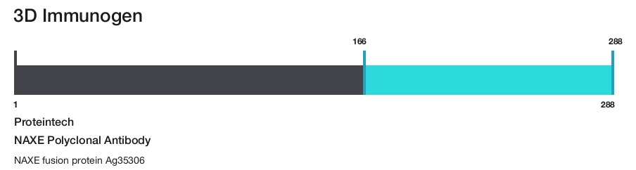 NAXE Polyclonal Antibody