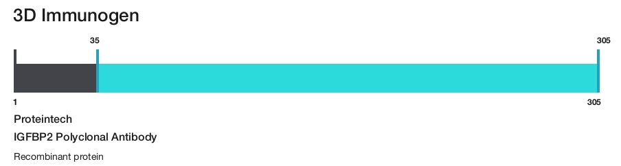 IGFBP2 Polyclonal Antibody