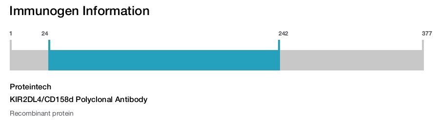 KIR2DL4/CD158d Polyclonal Antibody