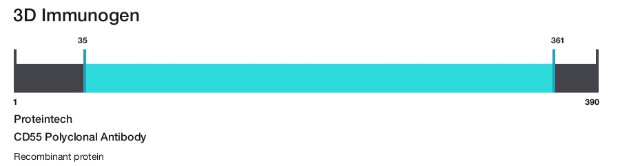 CD55 Polyclonal Antibody