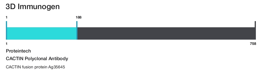 CACTIN Polyclonal Antibody