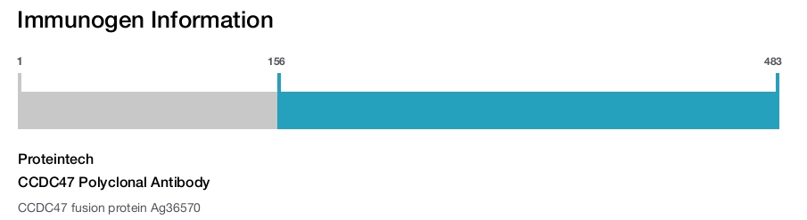 CCDC47 Polyclonal Antibody