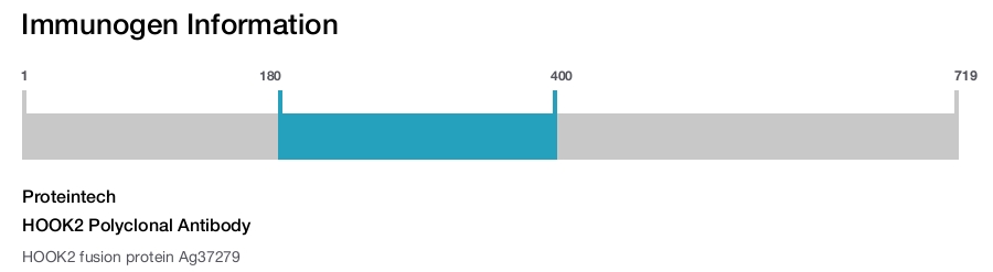 HOOK2 Polyclonal Antibody