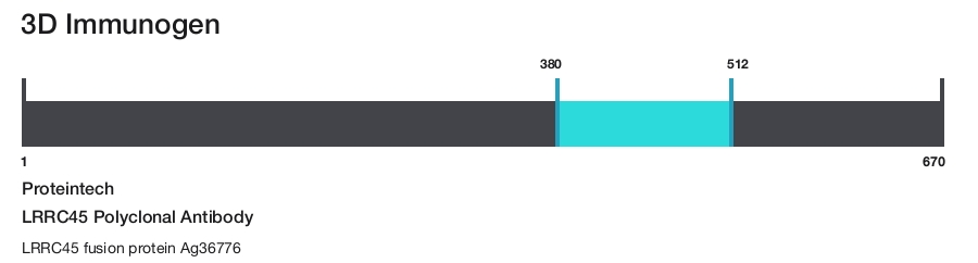 LRRC45 Polyclonal Antibody