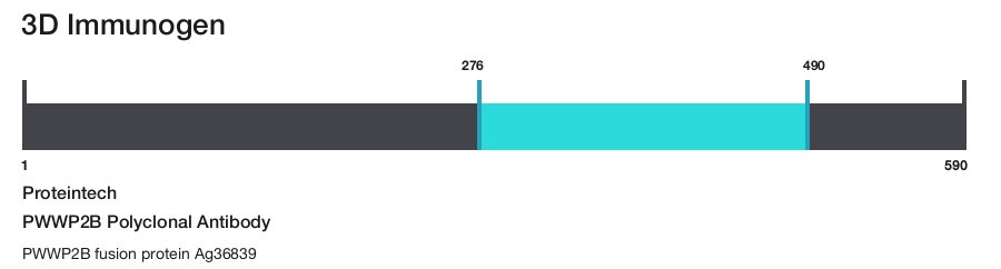 PWWP2B Polyclonal Antibody