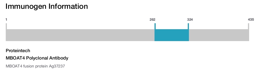 MBOAT4 Polyclonal Antibody