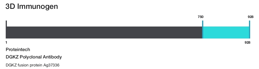 DGKZ Polyclonal Antibody