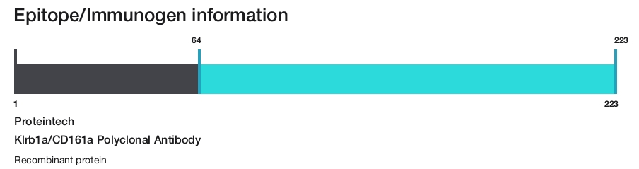 Klrb1a/CD161a Polyclonal Antibody