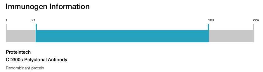 CD300c Polyclonal Antibody