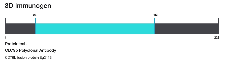 CD79b Polyclonal Antibody
