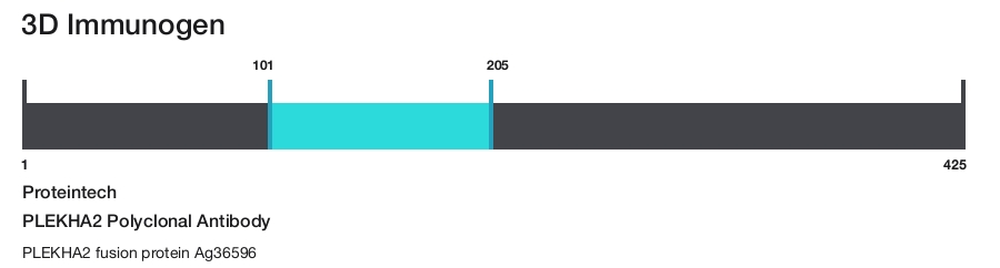 PLEKHA2 Polyclonal Antibody