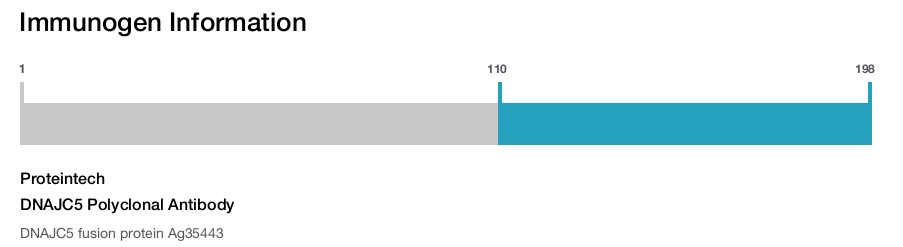 DNAJC5 Polyclonal Antibody