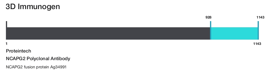 NCAPG2 Polyclonal Antibody