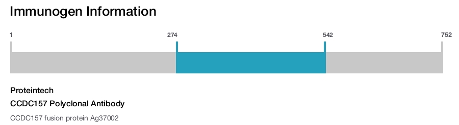 CCDC157 Polyclonal Antibody