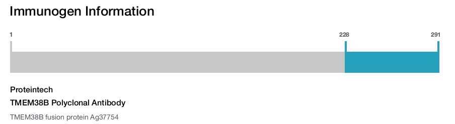 TMEM38B Polyclonal Antibody