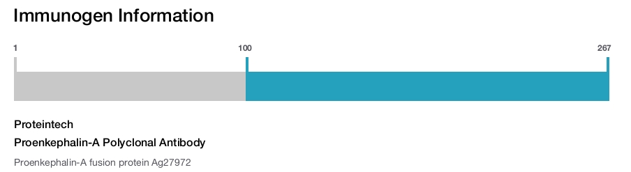 Proenkephalin-A Polyclonal Antibody