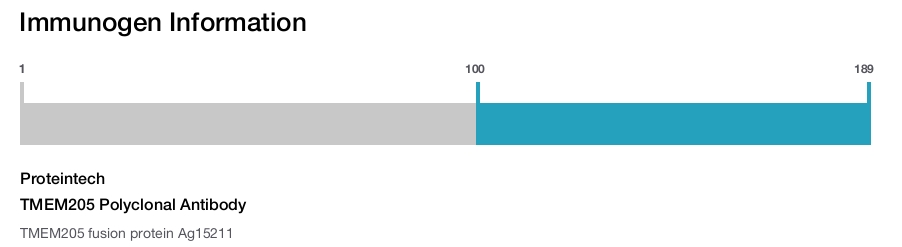 TMEM205 Polyclonal Antibody