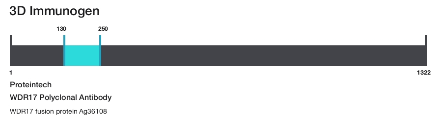 WDR17 Polyclonal Antibody