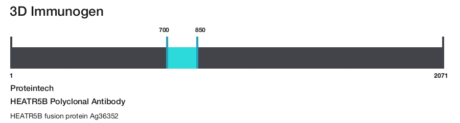 HEATR5B Polyclonal Antibody