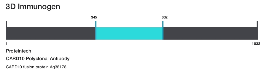 CARD10 Polyclonal Antibody