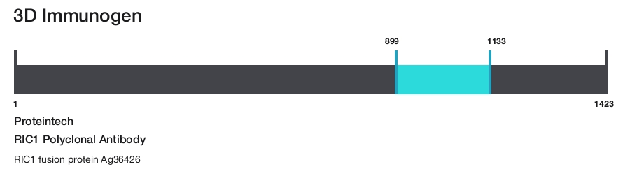 RIC1 Polyclonal Antibody