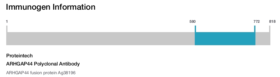 ARHGAP44 Polyclonal Antibody