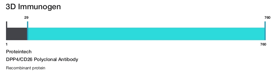 DPP4/CD26 Polyclonal Antibody