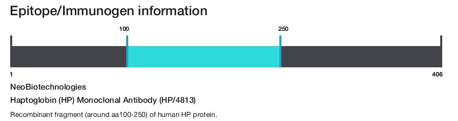 Haptoglobin (HP) Monoclonal Antibody (HP/4813)